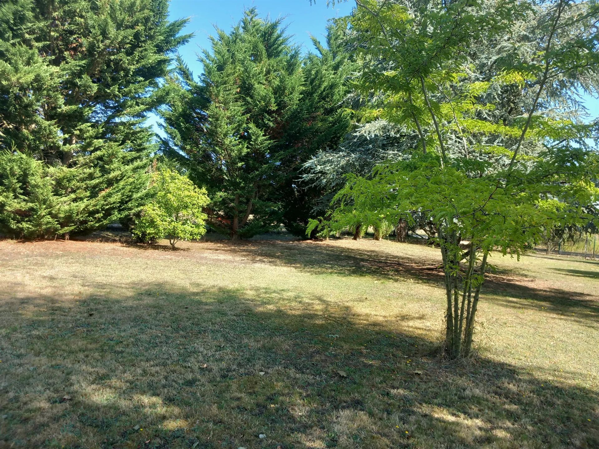 Maison à vendre, 260m², Saint-Laurent-Nouan
