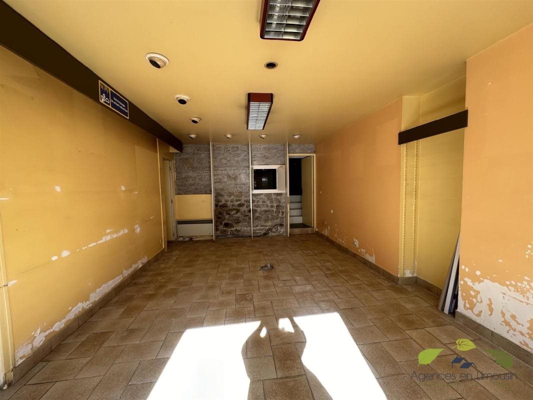 Maison à vendre, 230m², Sauviat-sur-Vige