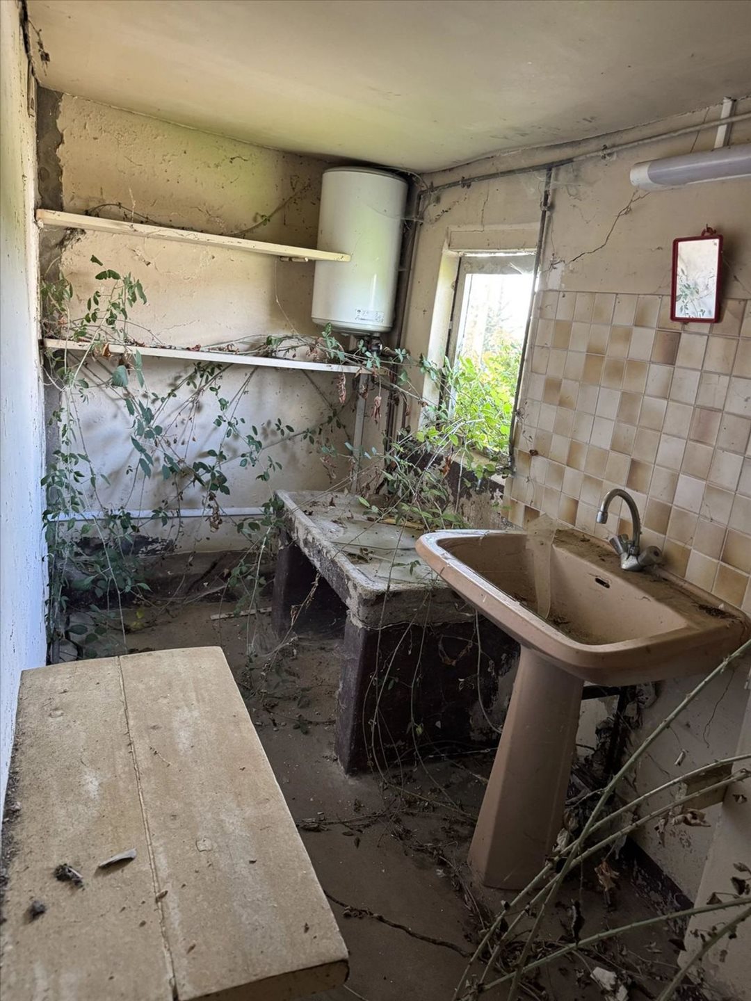Maison à vendre, 11m², Branges