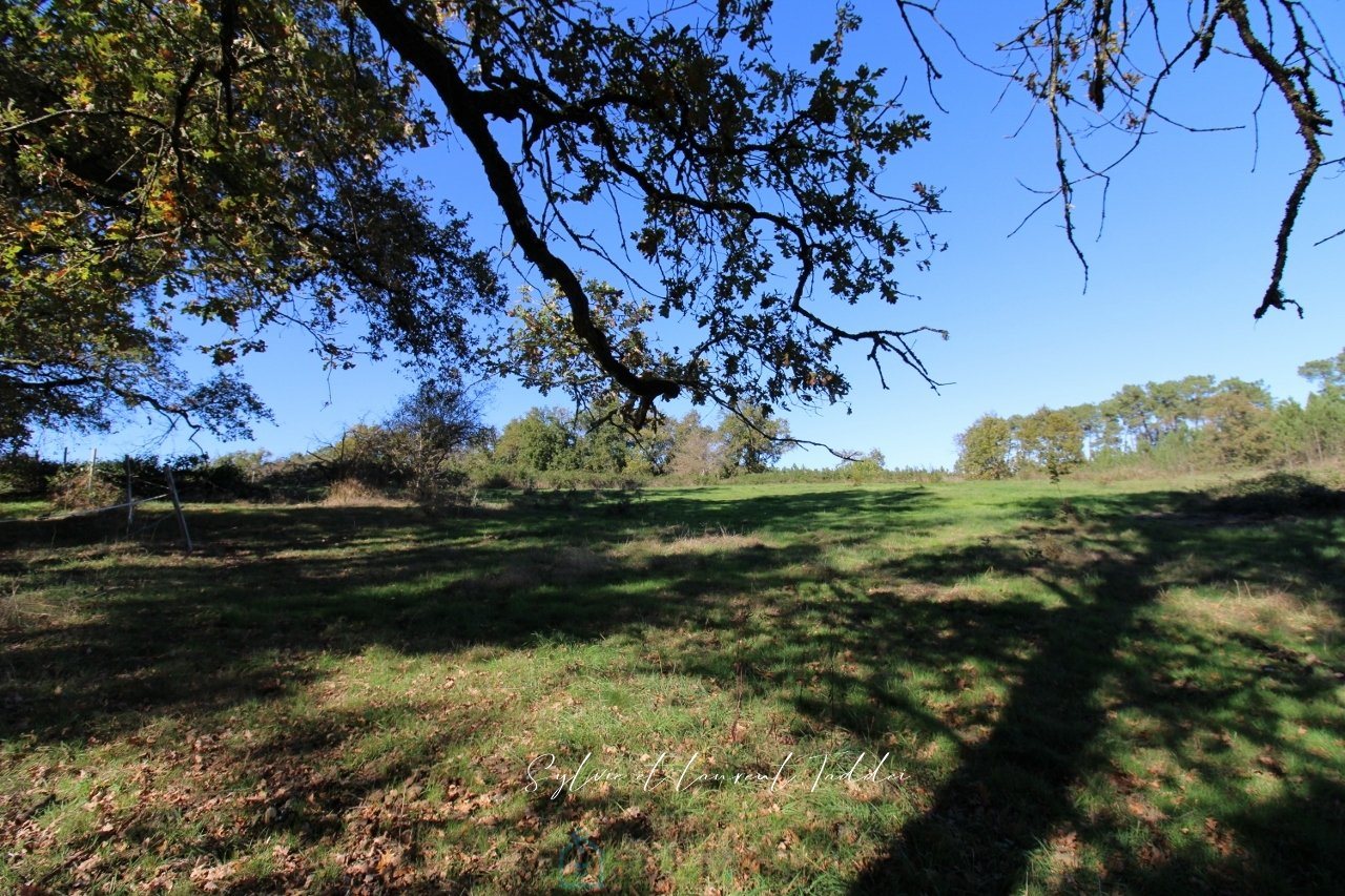 Maison à vendre, 300m², Montguyon