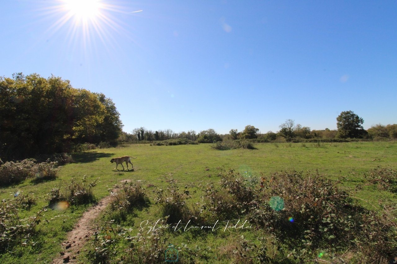 Maison à vendre, 300m², Montguyon