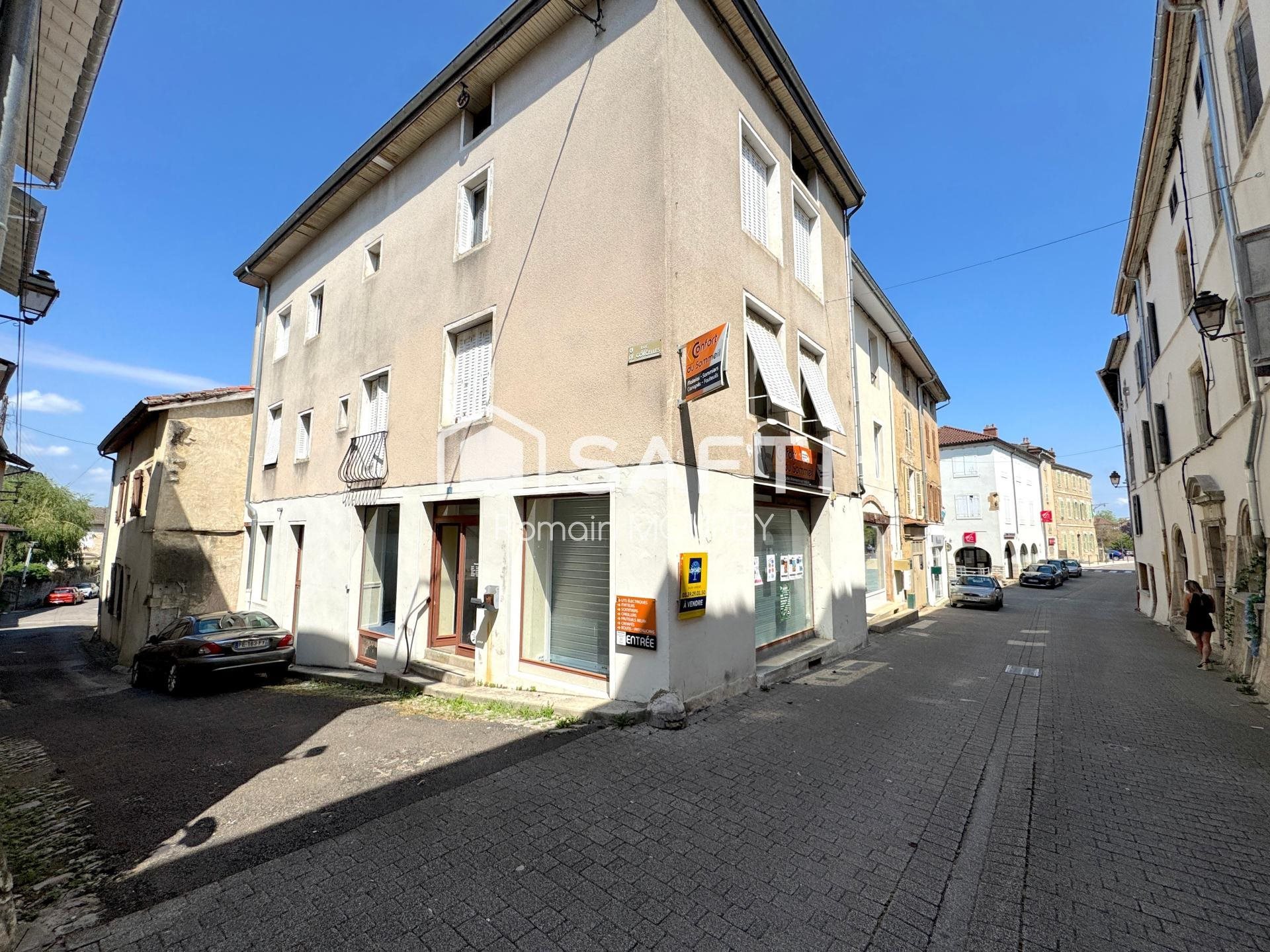 Appartement à vendre, 220m², Saint-Amour