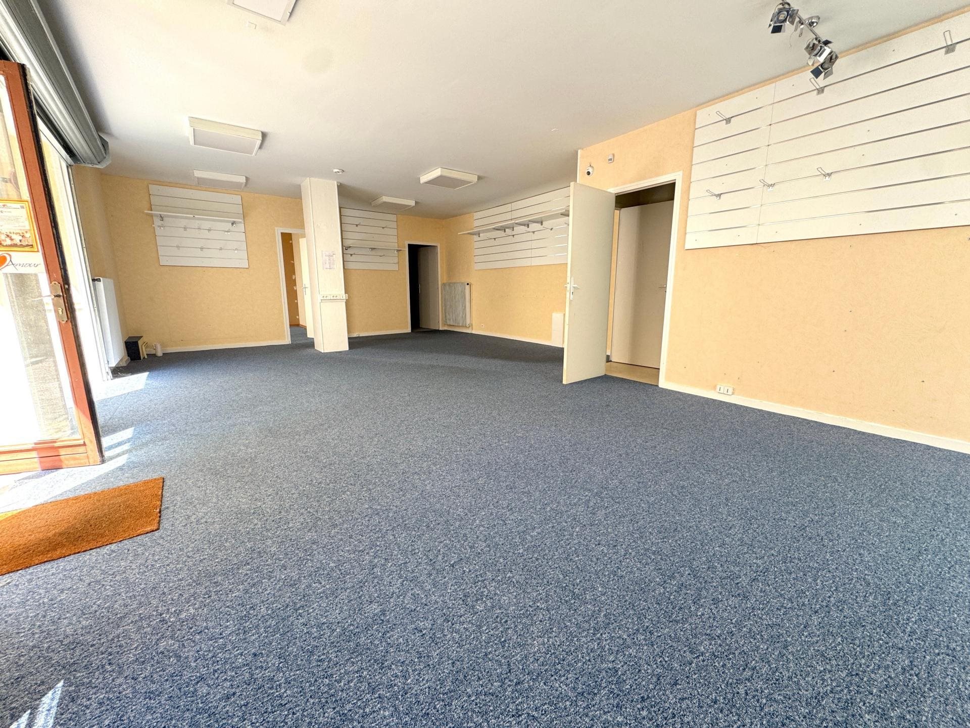 Appartement à vendre, 220m², Saint-Amour