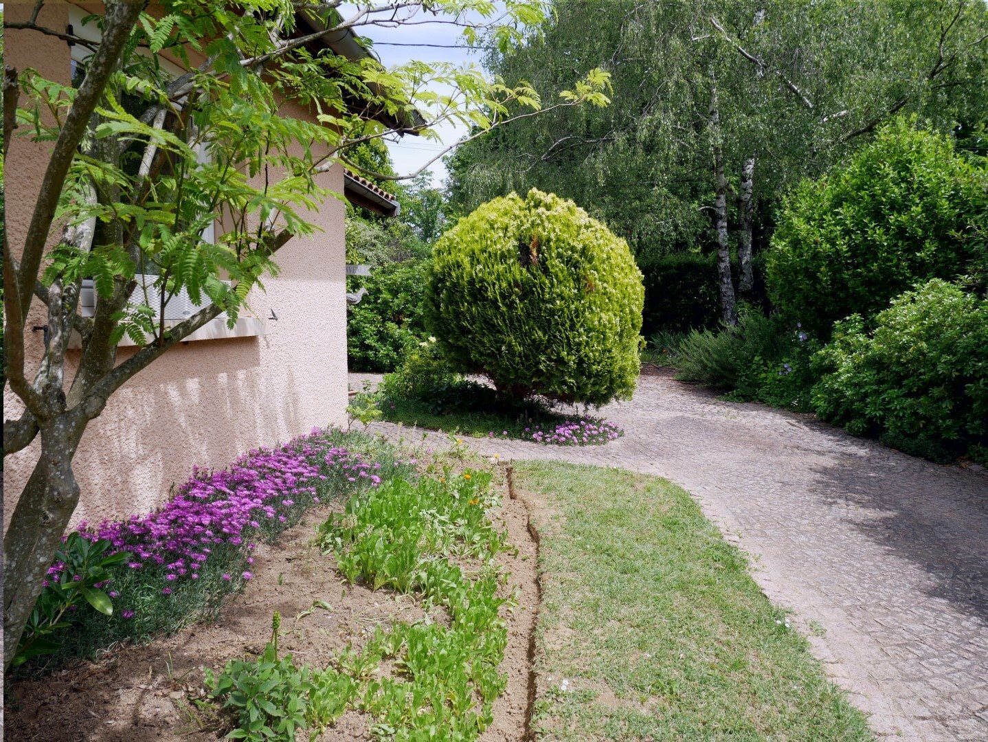 Maison à vendre, 190m², Neyron