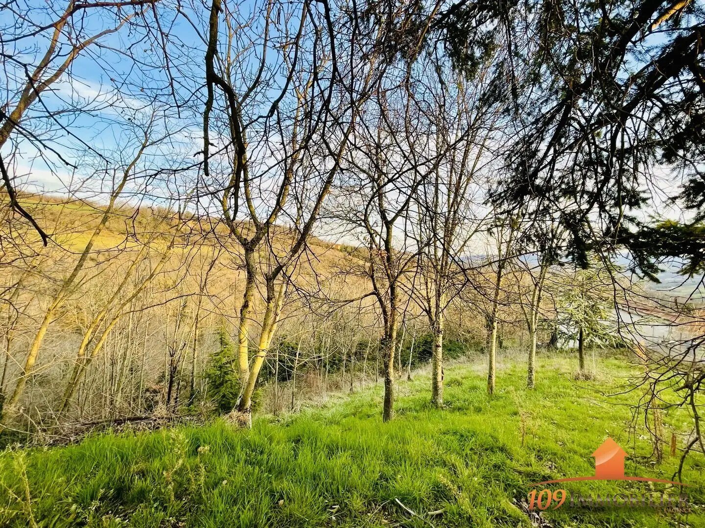 Maison à vendre, 100m², Theizé