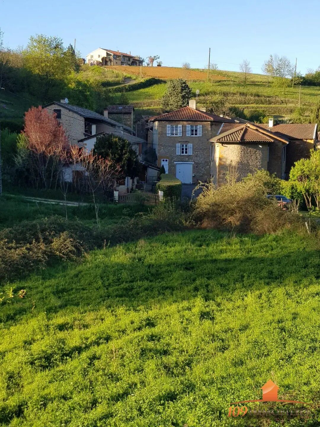 Maison à vendre, 277m², Theizé