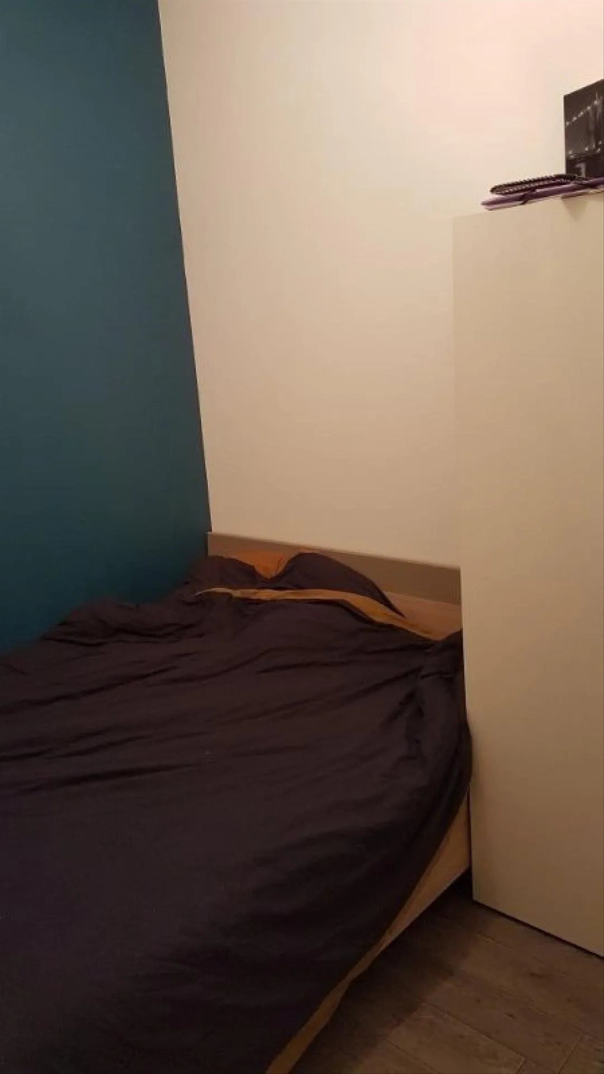 Appartement à louer, 27m², Saint-Georges-des-Groseillers