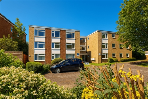 Advert pic 0
