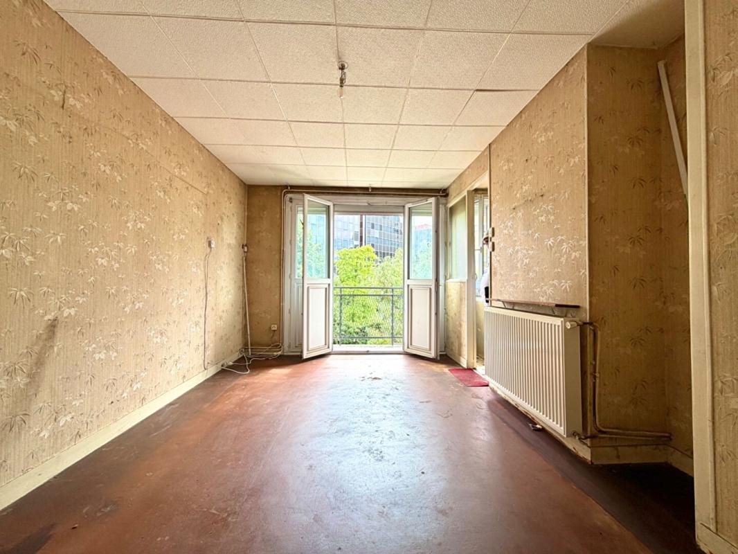 Appartement à vendre, 53m², Maisons-Alfort