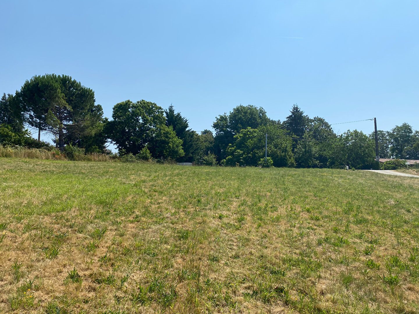 Purchase: Land (24200) - Plus
