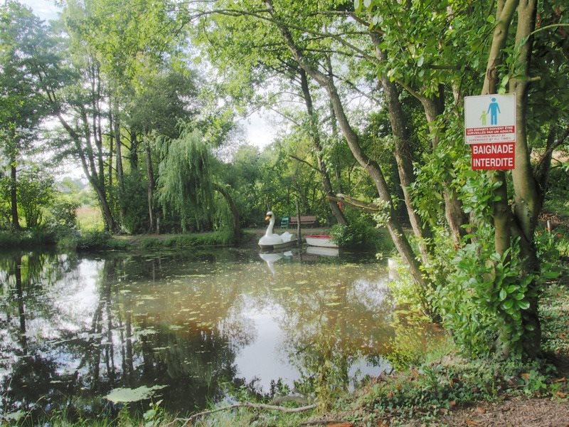 Maison à vendre, 130m², Torigny-les-Villes