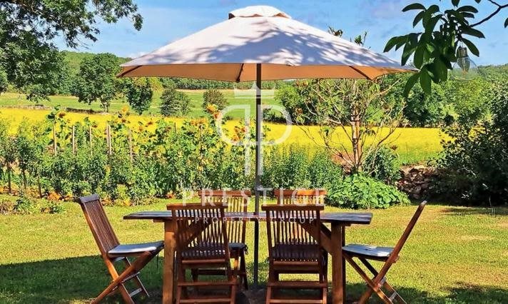 Maison à vendre, 418m², Barry-d'Islemade