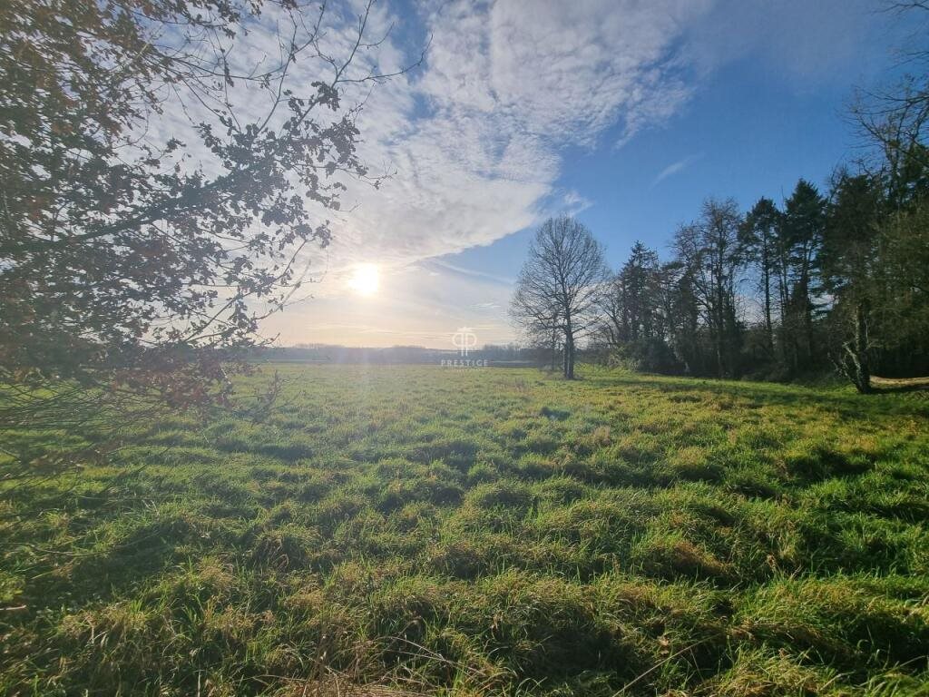 Maison à vendre, 300m², Langeais