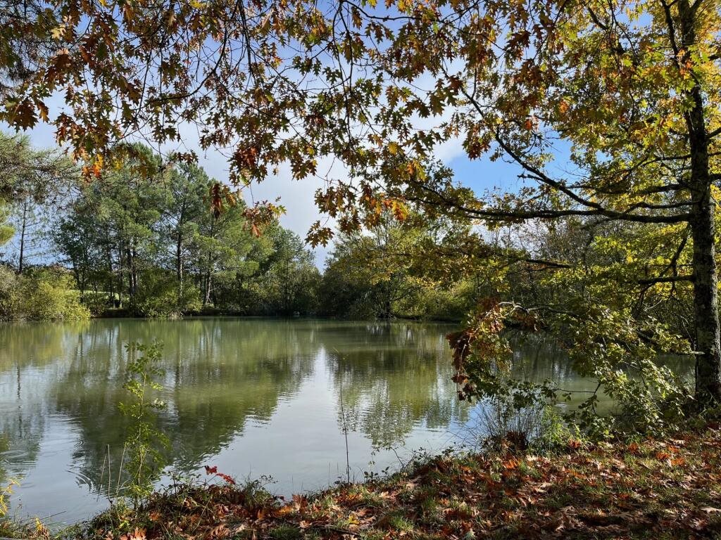 Maison à vendre, 430m², Campsegret
