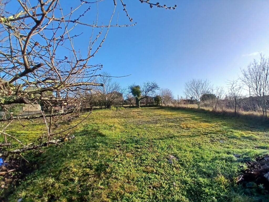 Maison à vendre, 99m², Saint-Fort-sur-le-Né