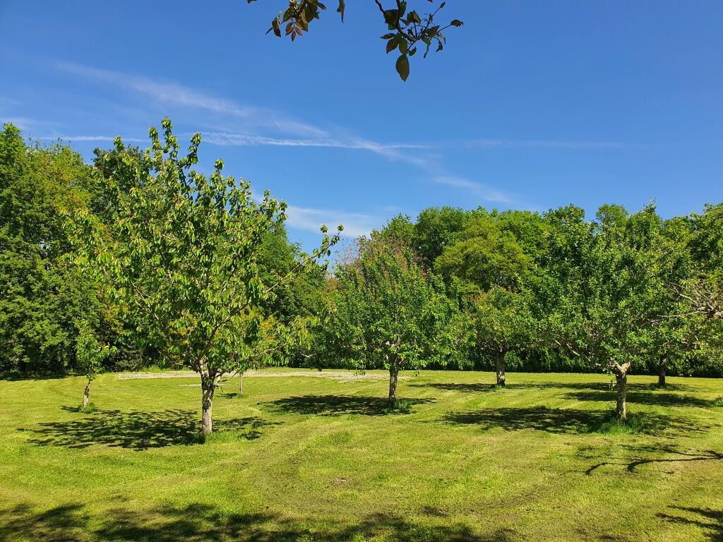 Maison à vendre, 235m², Loubès-Bernac