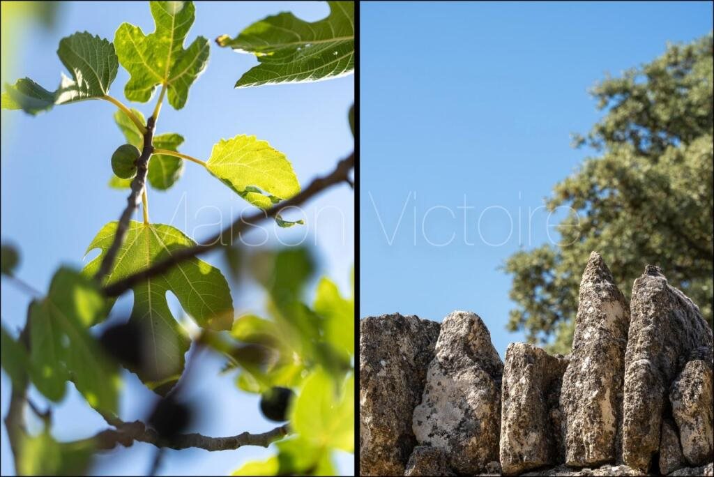 Maison à vendre, 162m², Cabrières-d'Avignon