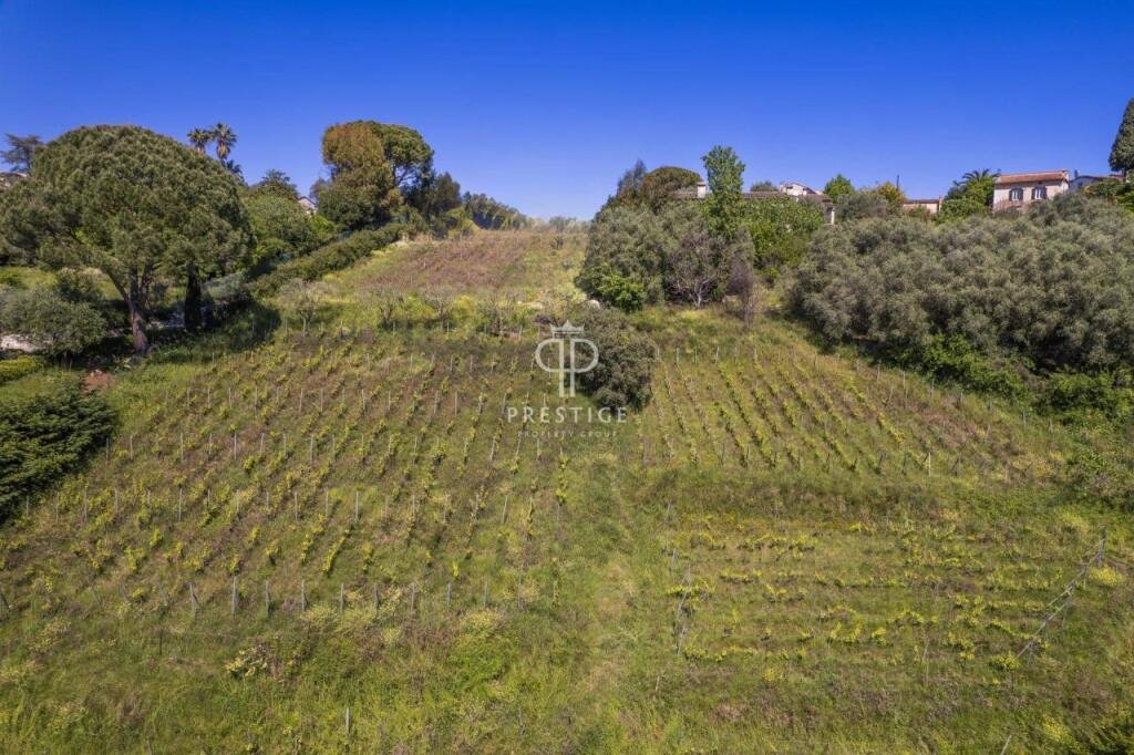 Maison à vendre, 454m², Saint-Paul-de-Vence