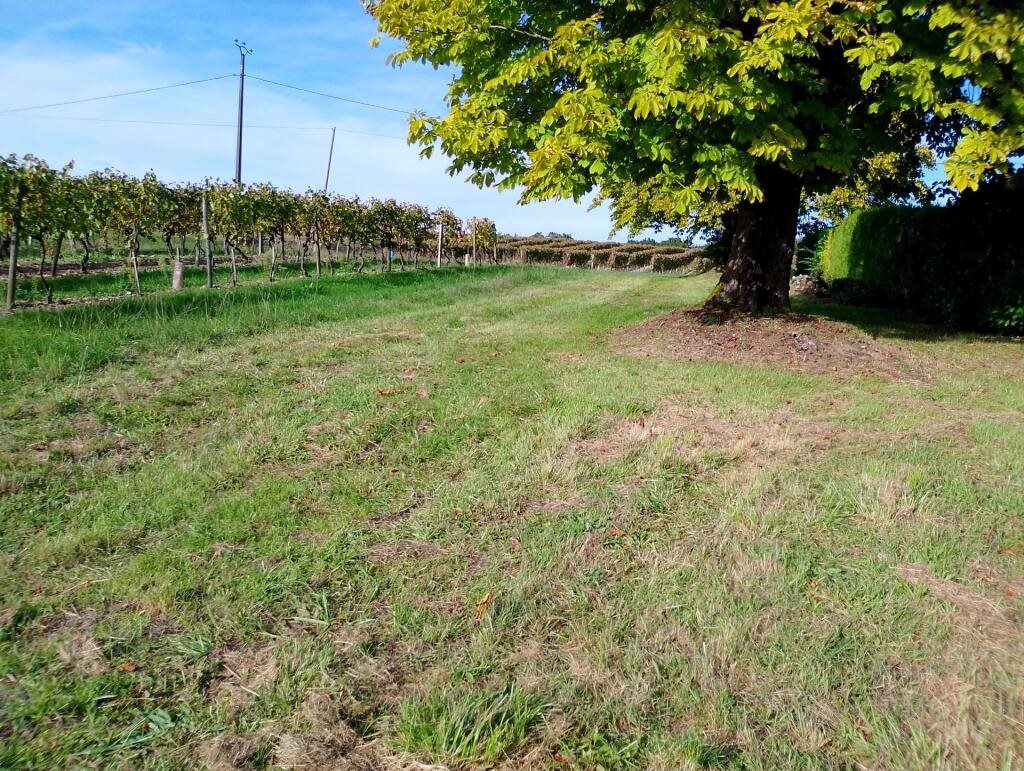 Maison à vendre, 174m², Jonzac