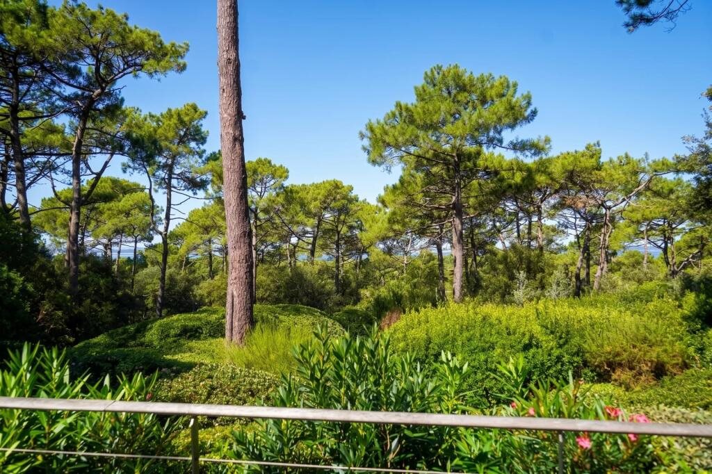 Maison à vendre, 4m², Arcachon