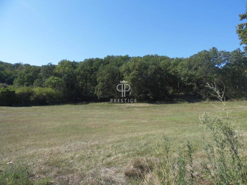 Maison à vendre, 322m², Cordes-sur-Ciel