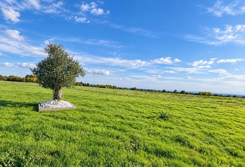Maison à vendre, 5m², Buais