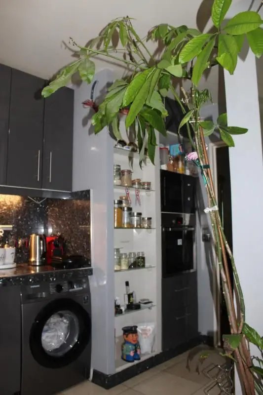 Appartement à vendre, 88m², Clichy