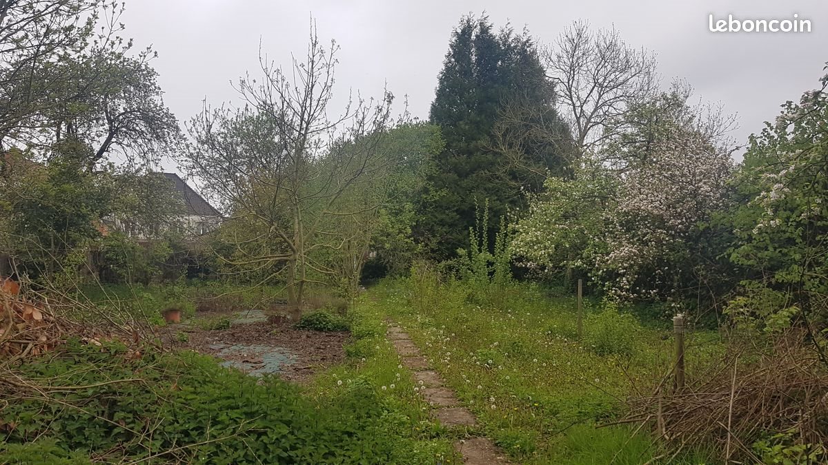Maison à vendre, 226m², Thérouanne