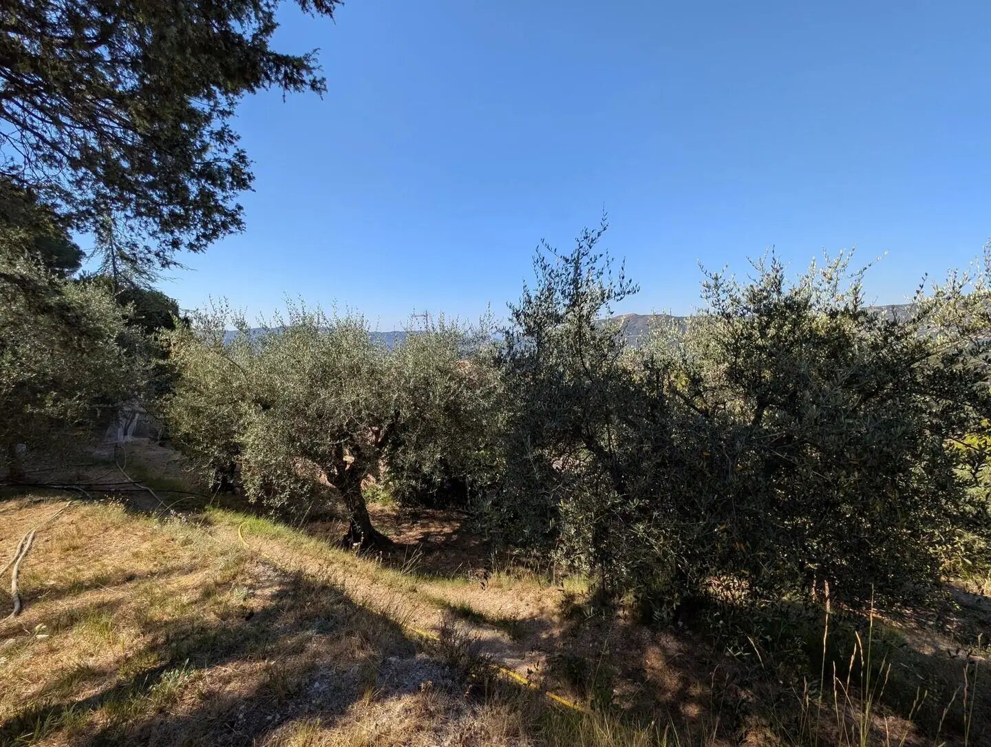 Maison à vendre, 70m², L'Escarène