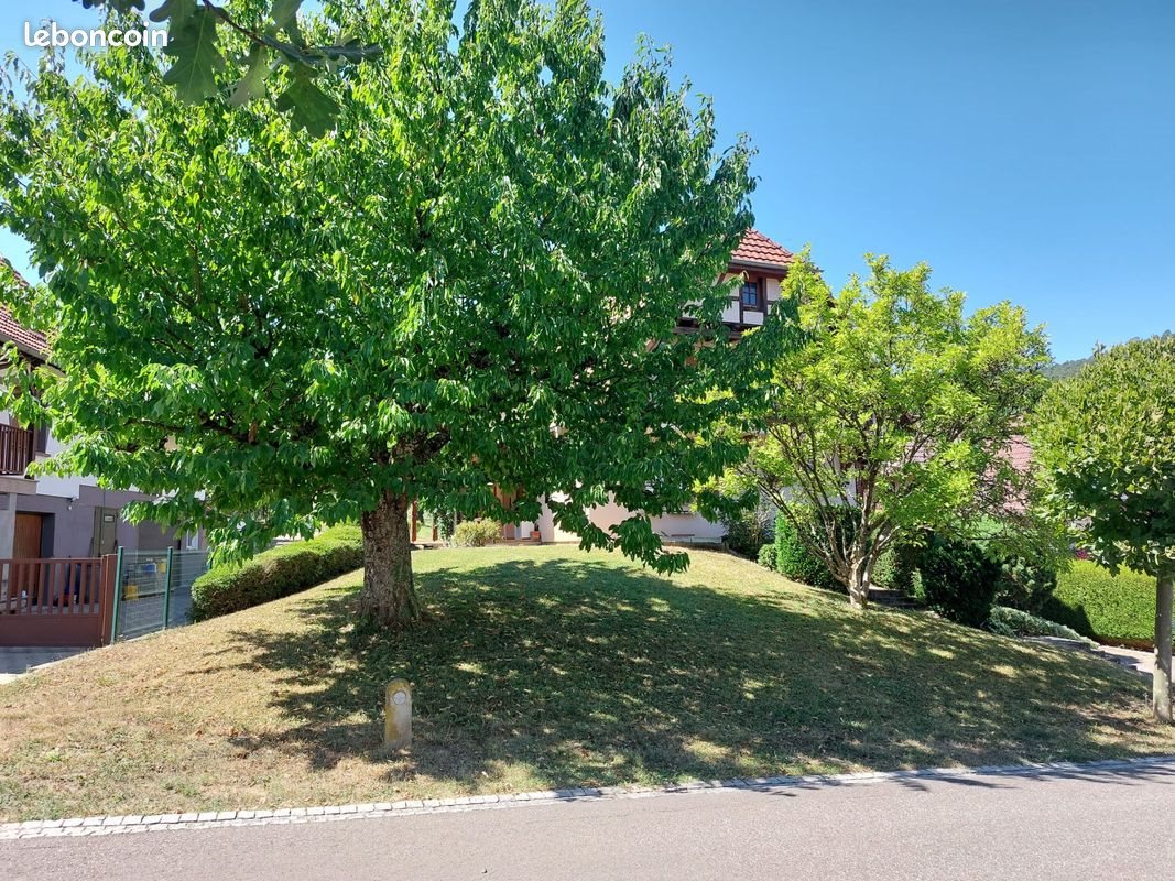 Maison à vendre, 140m², Wingen