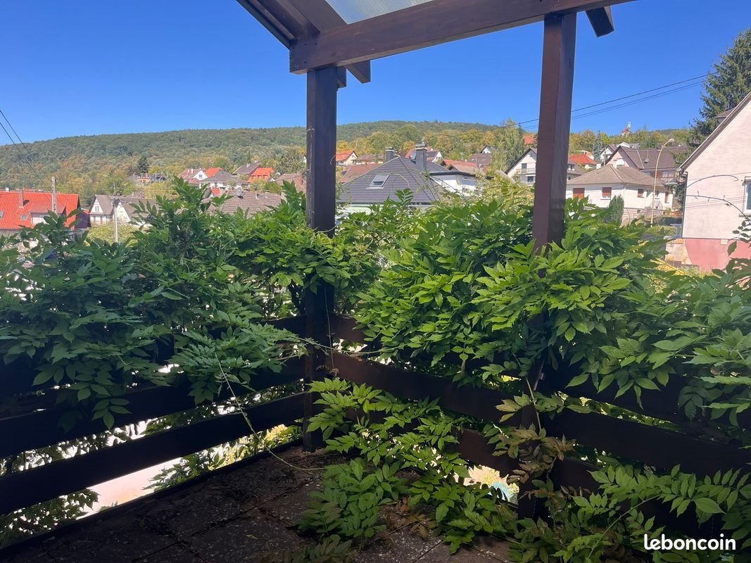 Maison à vendre, 168m², Wissembourg