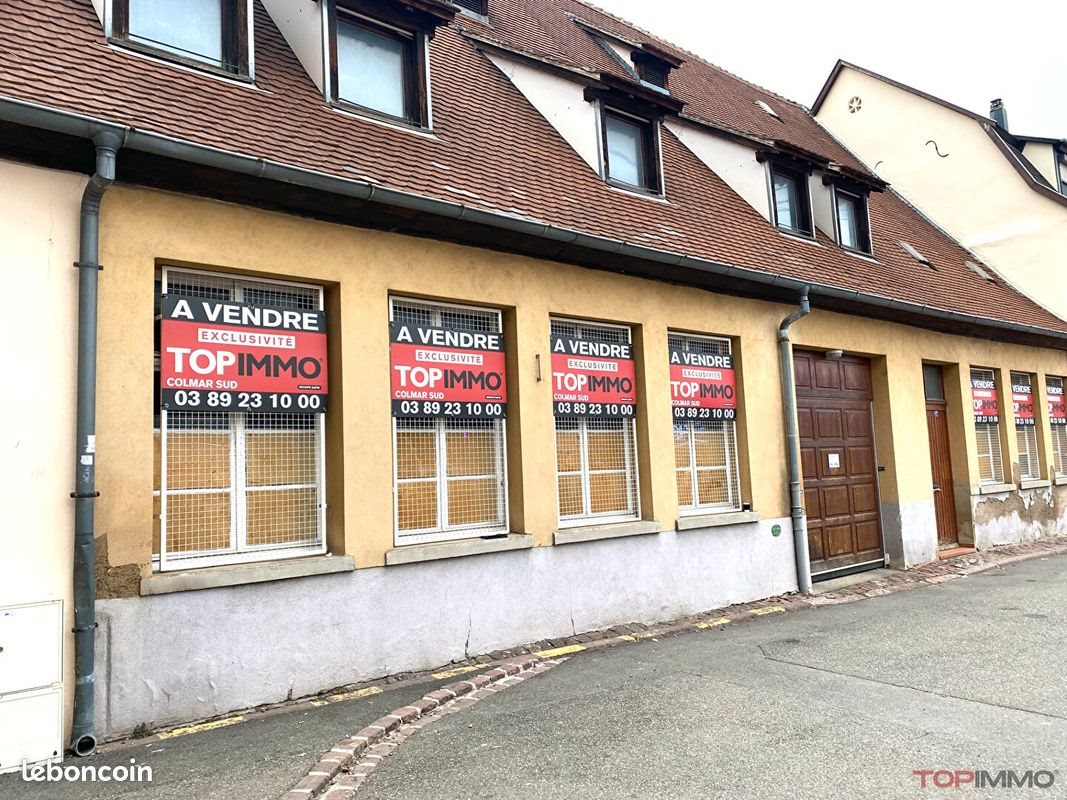 Appartement à vendre, 550m², Colmar