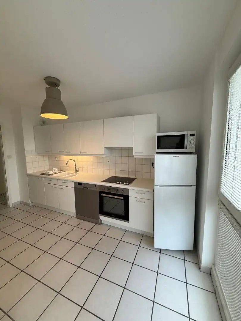 Appartement à louer, 56m², Colmar