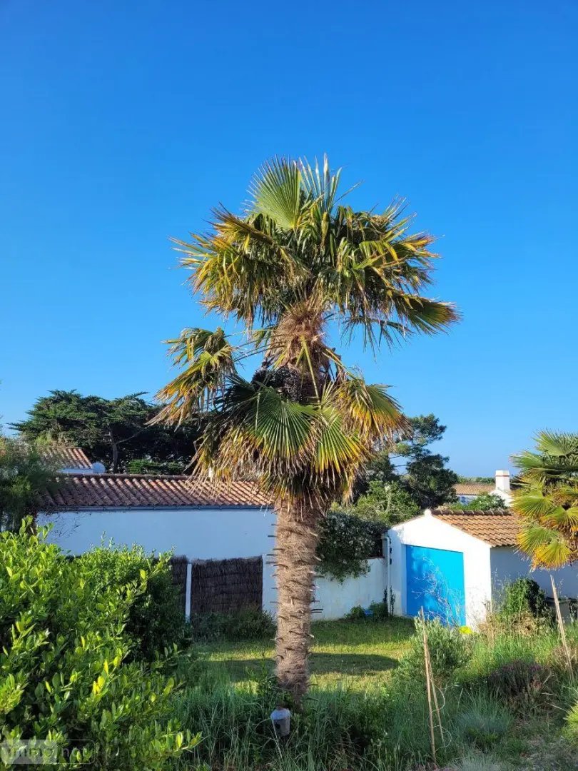 Maison à vendre, 134m², Noirmoutier-en-l'Île