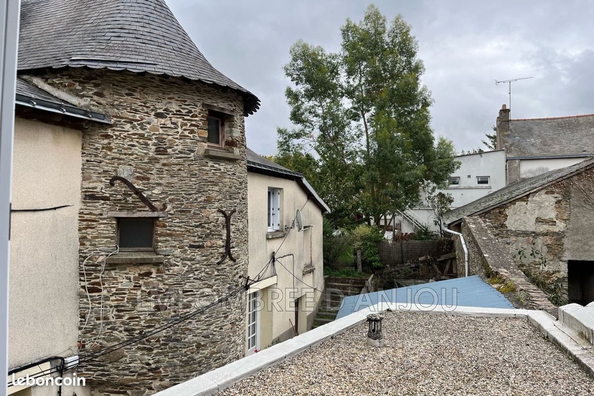 Maison à vendre, 259m², Ombrée d'Anjou