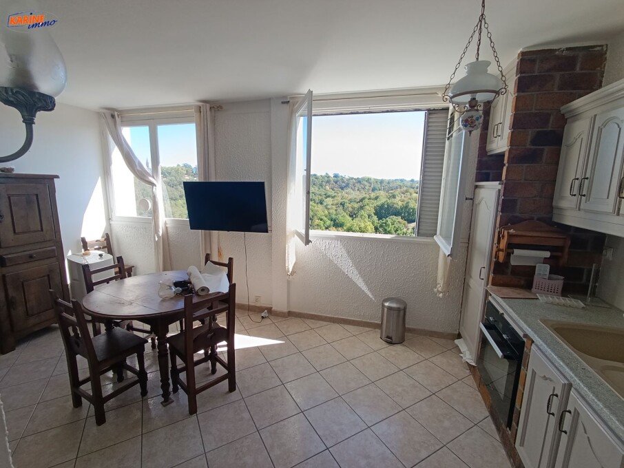 Appartement à louer, 47m², Sathonay-Camp