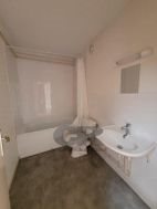 Appartement à louer, 24m², Nancy