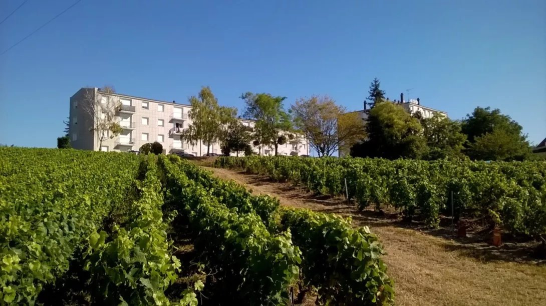 Appartement à louer, 67m², Sézanne