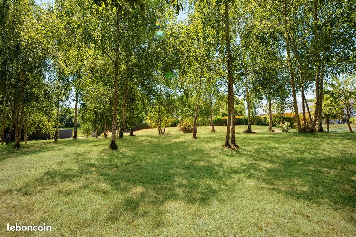 Maison à louer, 211m², Châteaugiron