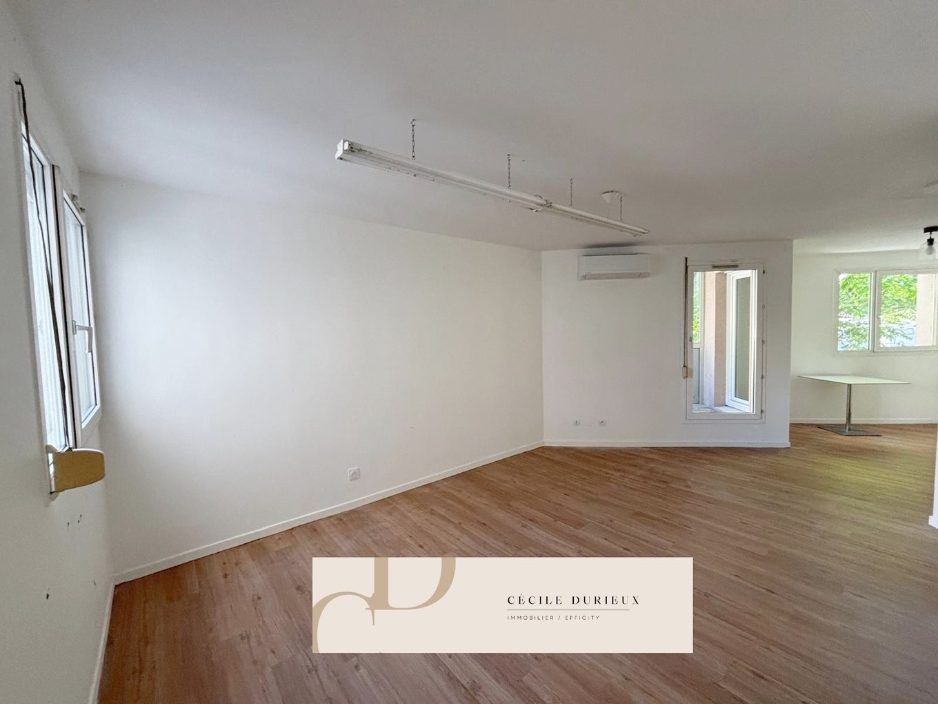 Appartement à vendre, 55m², Caluire-et-Cuire