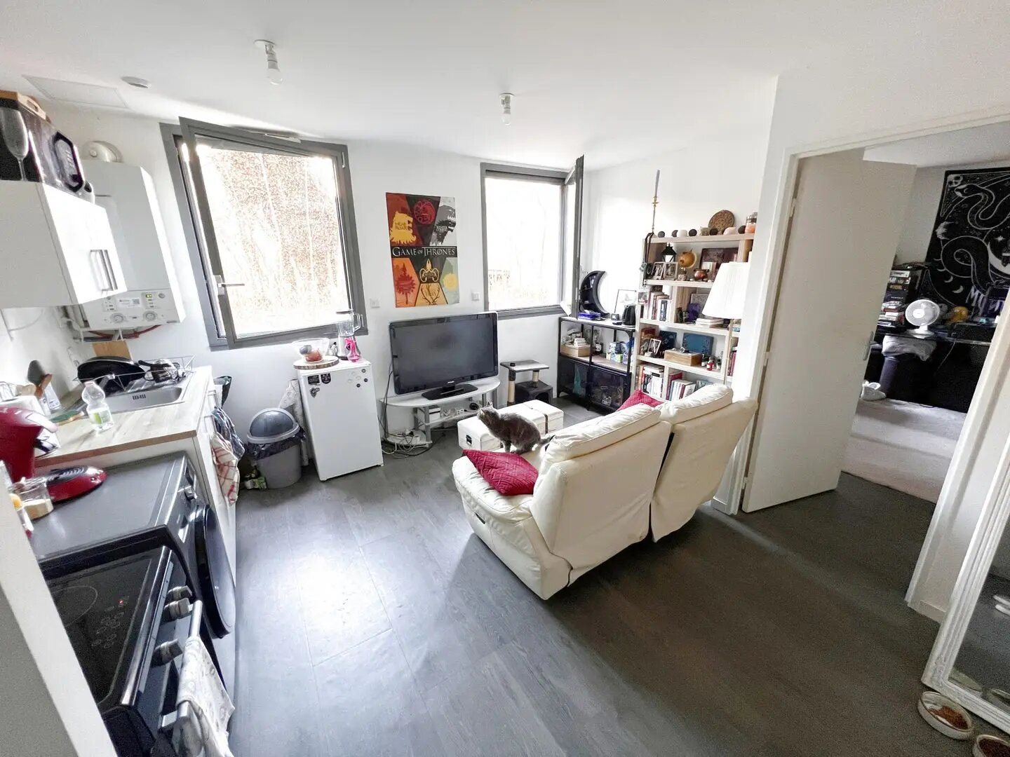 Appartement à vendre, 35m², Villeurbanne
