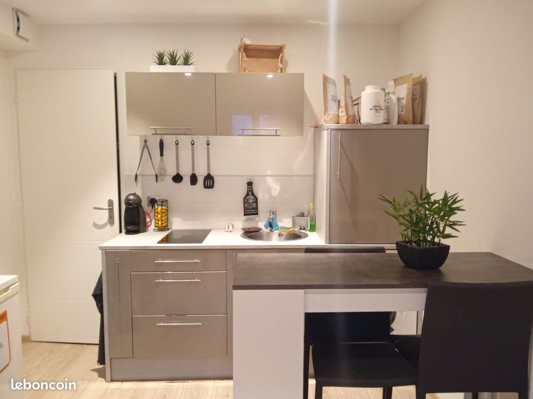 Appartement à louer, 27m², Villeurbanne