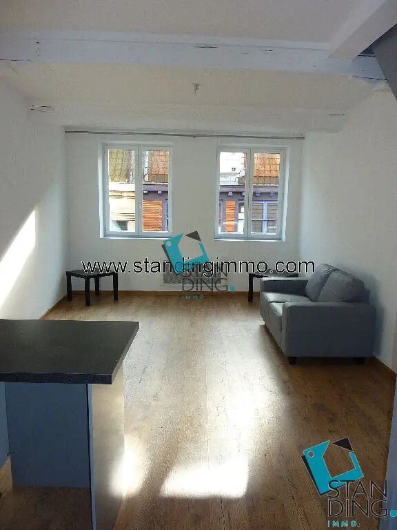 Appartement à louer, 46m², Lille
