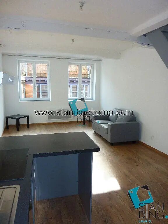 Appartement à louer, 46m², Lille