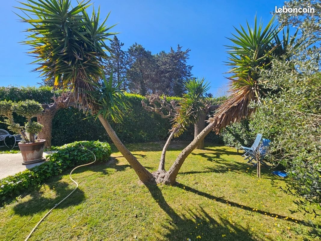 Maison à vendre, 157m², Bouzigues