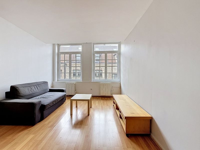 Appartement à vendre, 28m², Lille