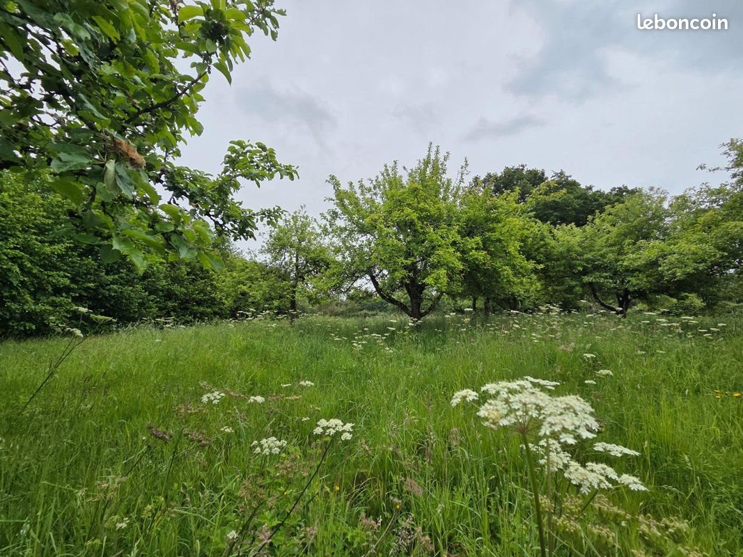 Maison à vendre, 52m², Villaines-la-Juhel