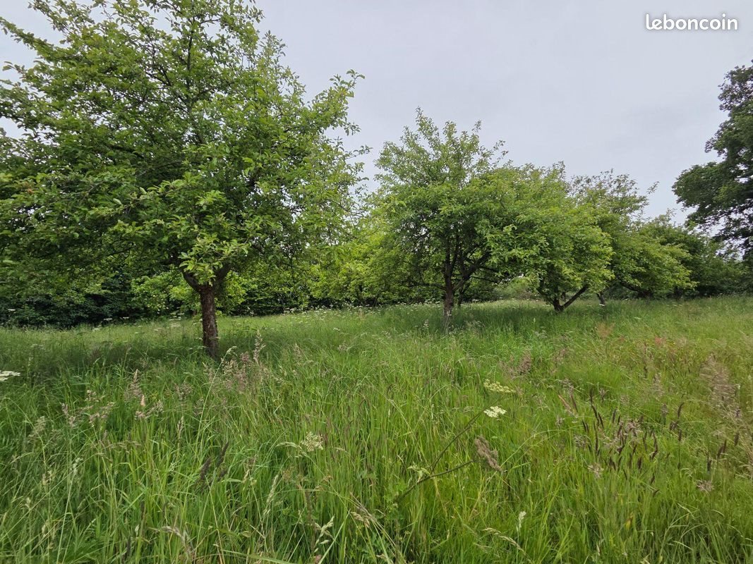 Maison à vendre, 52m², Villaines-la-Juhel