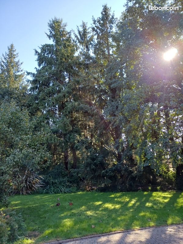 Maison à vendre, 227m², La Ferrière