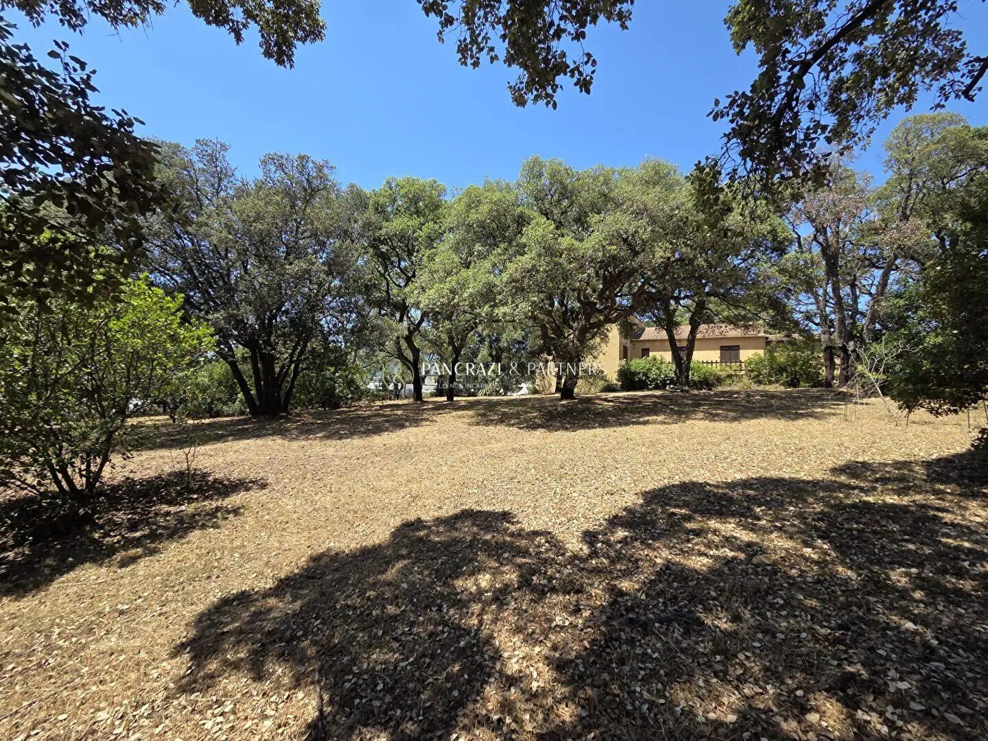 Maison à vendre, 190m², Sarrola-Carcopino